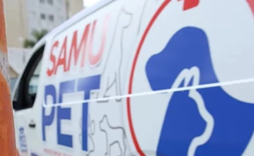 Jandira lança SAMU Pet, serviço público gratuito de resgate emergencial para animais em situação de rua