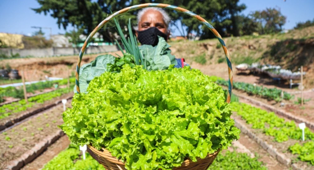 Agricultores familiares podem vender produção à Prefeitura de Osasco; edital já está aberto