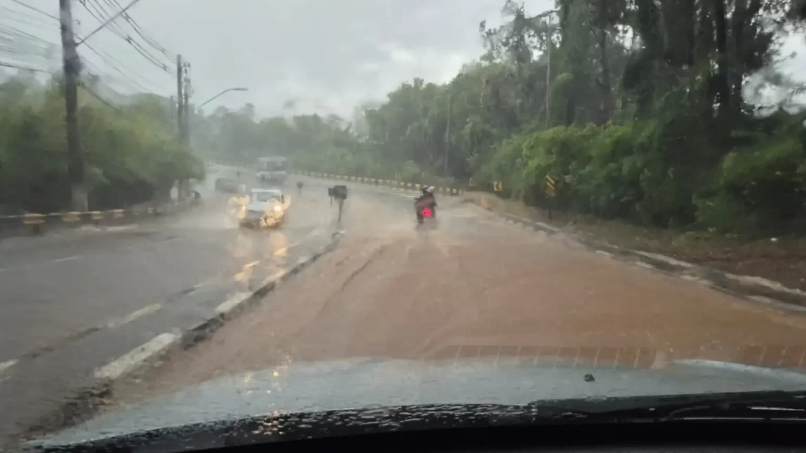 Chuvas de verão elevam risco de alagamentos e quedas de árvores, alerta Defesa Civil