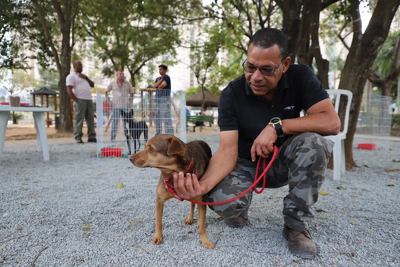 Barueri recebe Cãominhada no próximo sábado (21) com concurso de fantasias e adoção de pets