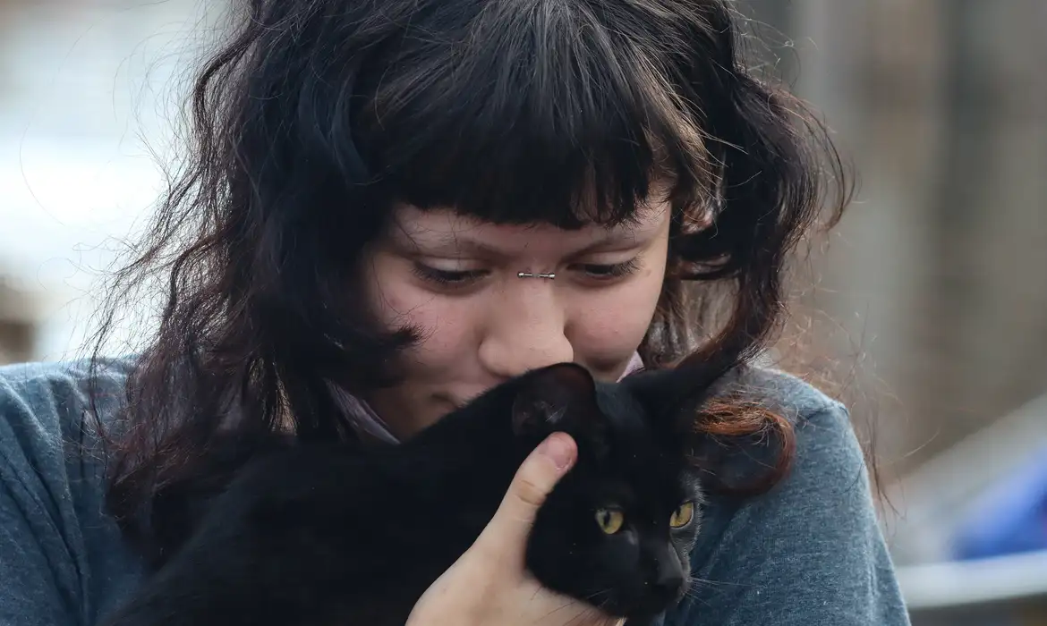 Programa da Prefeitura de SP faz castração gratuita de cães e gatos