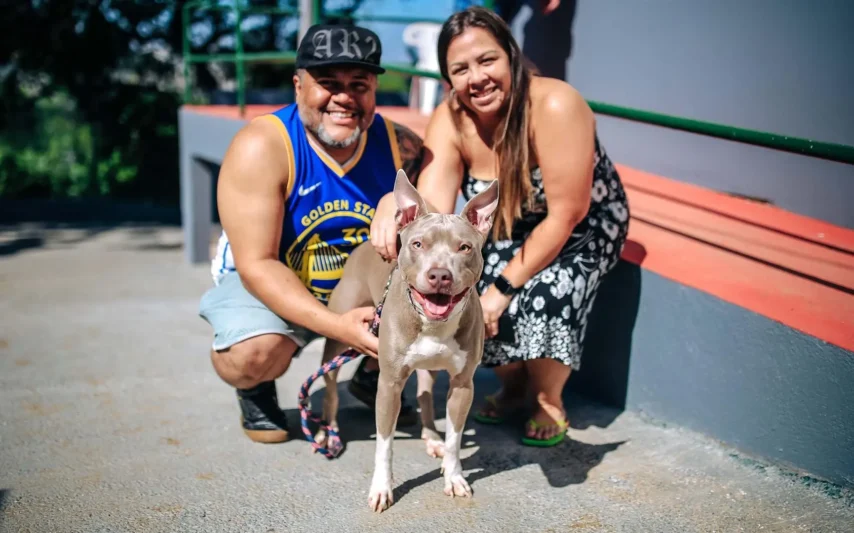 Santana de Parnaíba amplia acesso à saúde animal com consultas gratuitas