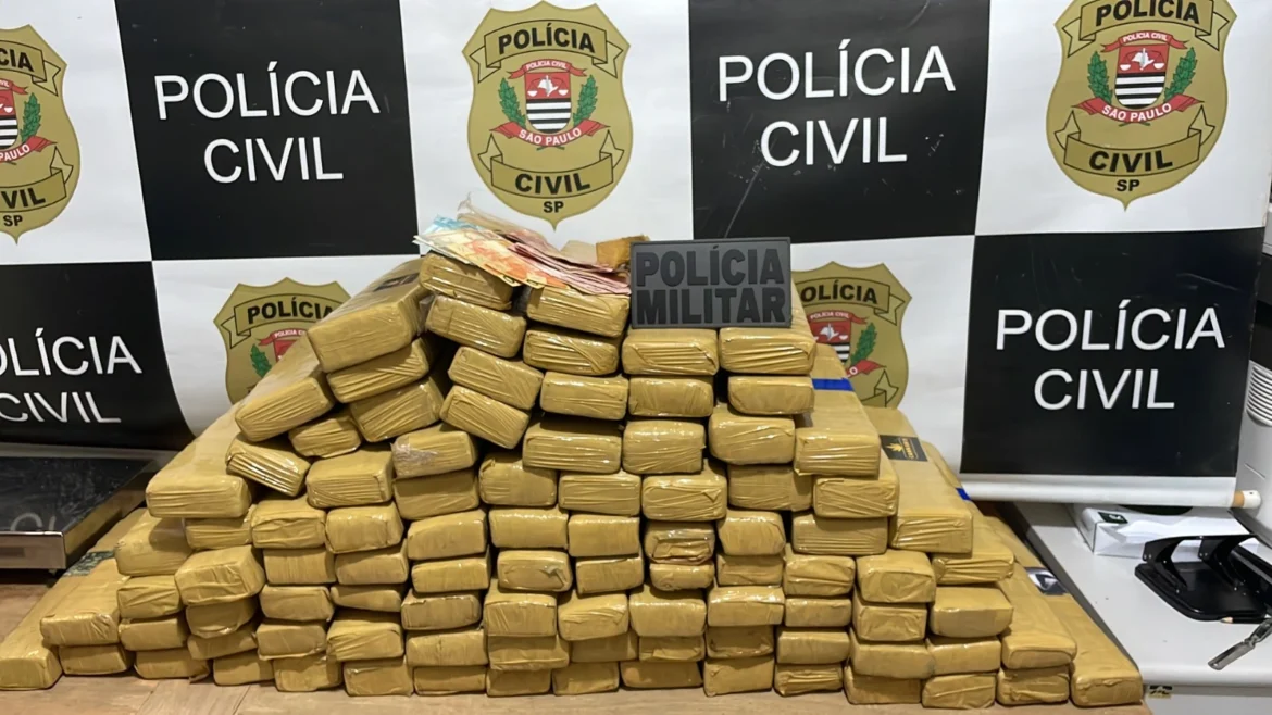 Polícias apreendem quase 100 kg de maconha em depósito de drogas no interior de SP