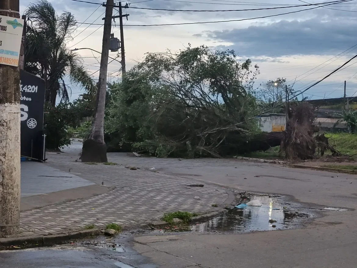 Defesa Civil emite alerta severo após ventos de até 117 km/h em SP