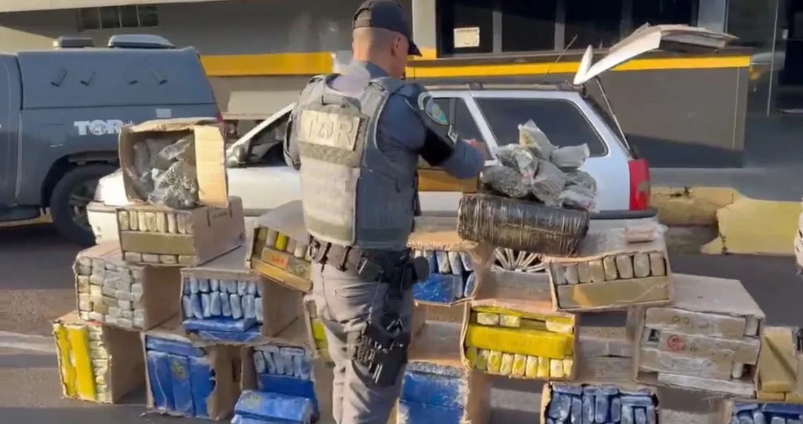 Polícia apreende 527 kg de drogas na Raposo Tavares