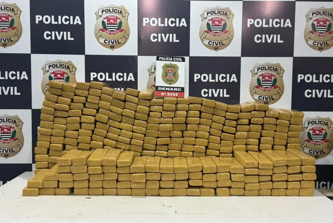 Polícia apreende 351 kg de maconha e prende dois irmãos em SP